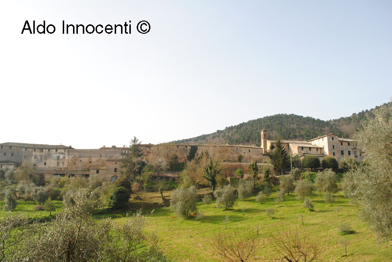 TORRI: PANORAMA 1' IMMAGINE